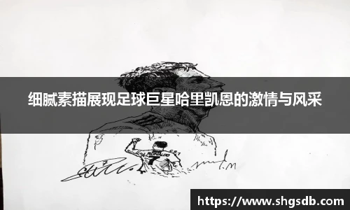 细腻素描展现足球巨星哈里凯恩的激情与风采